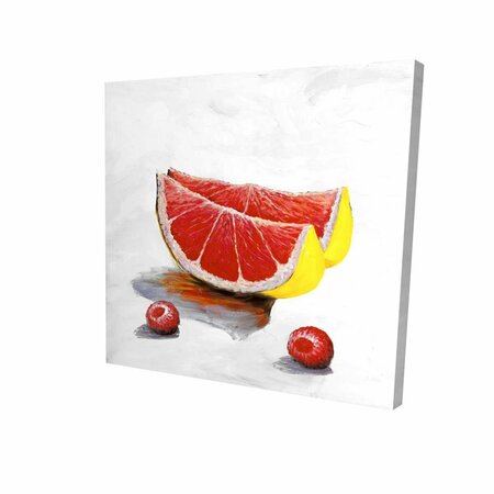 FONDO 16 x 16 in. Grapefruit Slices-Print on Canvas FO2786759